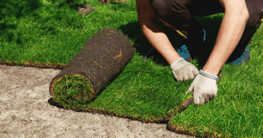 sod installation st johns fl