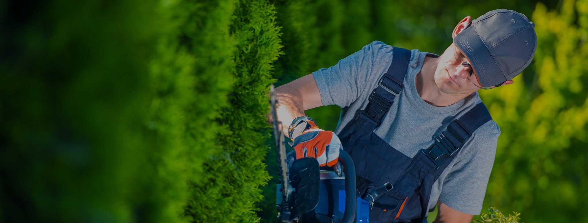 lawn care st johns fl