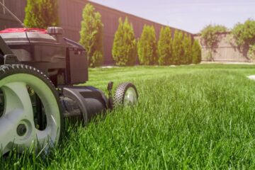 lawn care julington creek plantation st johns fl