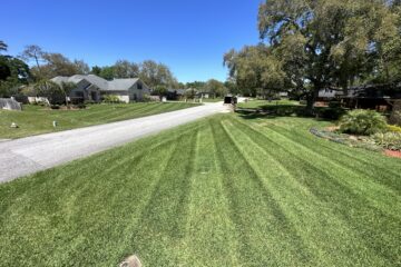 Lawn Care St Johns FL