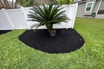 lawn care st johns fl