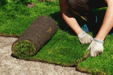 Sod Supplier / Installation