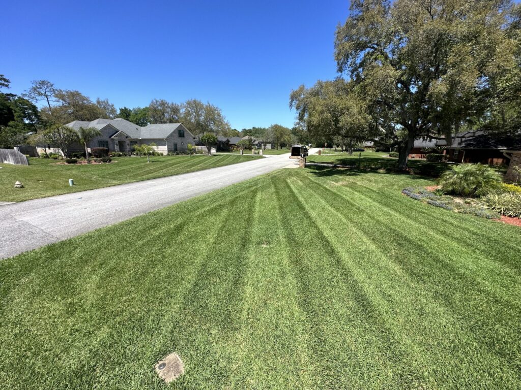 lawn care st johns fl